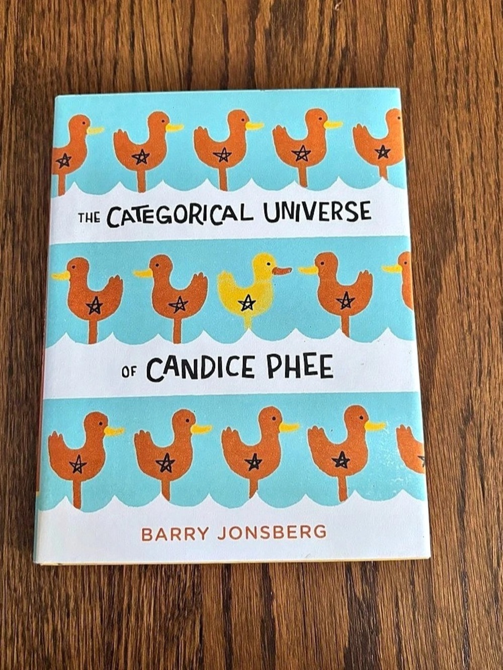 The Categorical Universe of Candice Phee by Barry Jonsberg Hardcover Book